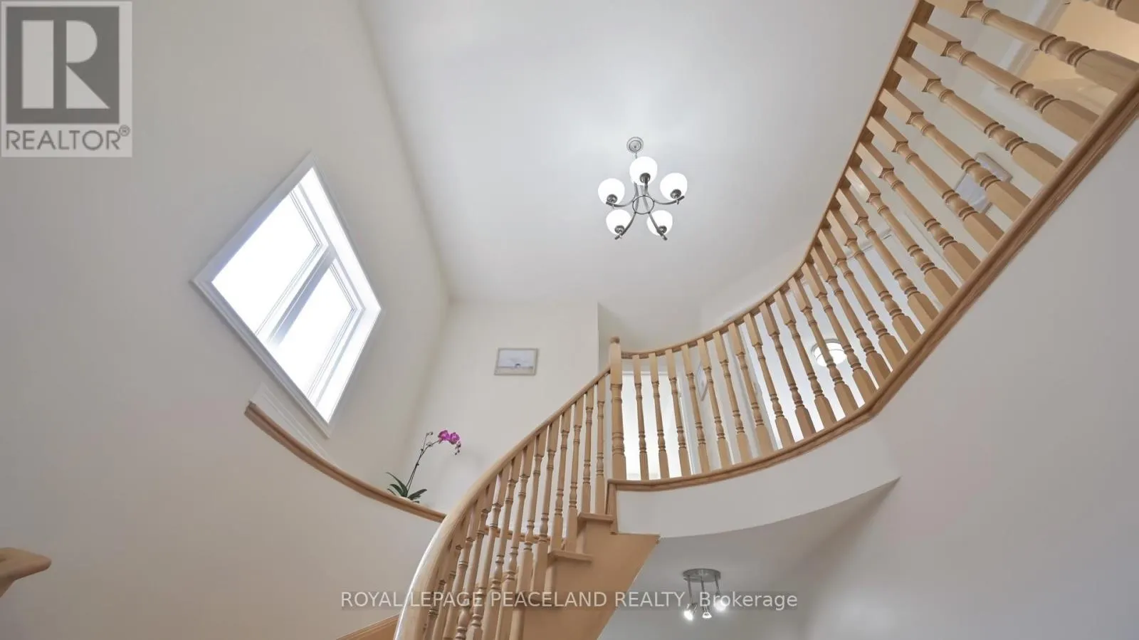16 LEALINDS ROAD