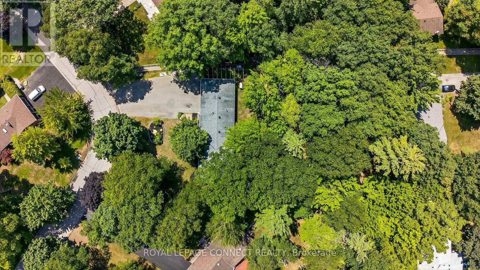 10 DONALDSON ROAD