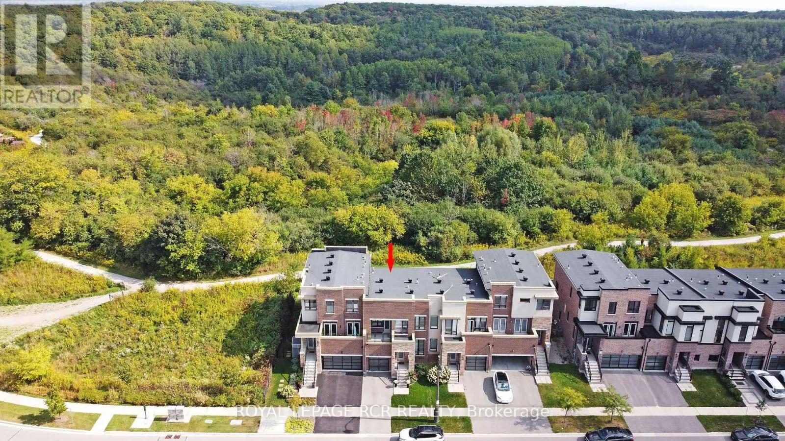 65 ANCHUSA DRIVE