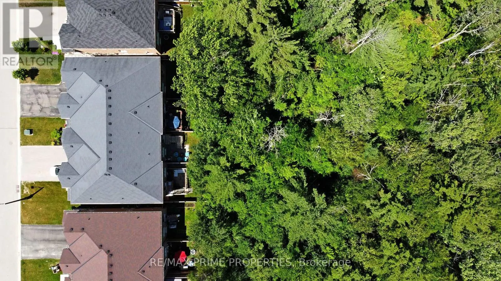 39 SCOTIA ROAD
