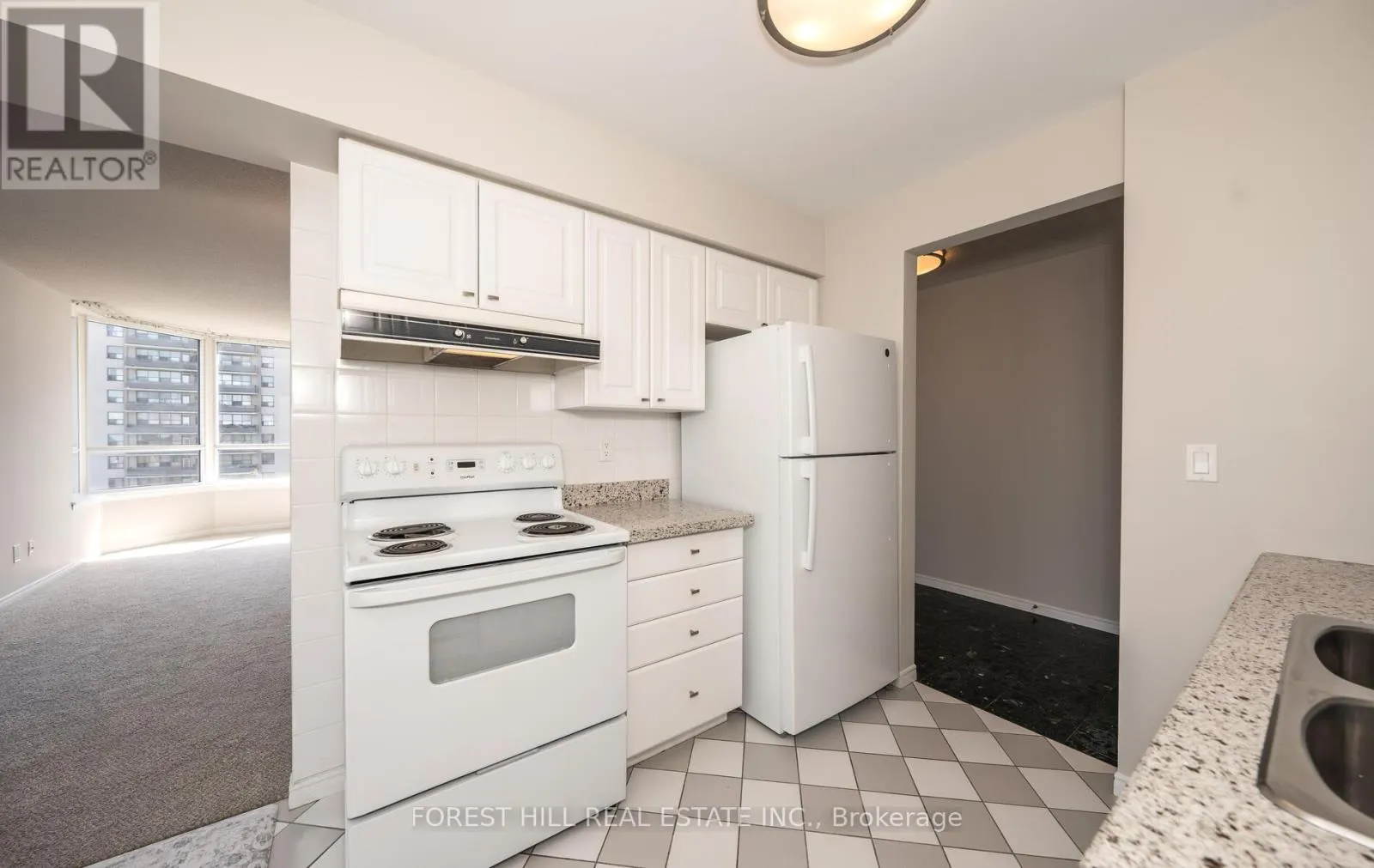 709 - 91 TOWNSGATE DRIVE