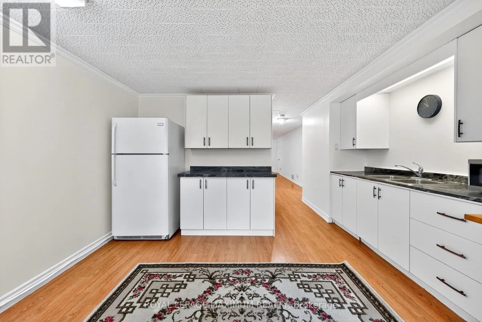 BASEMENT - 153 HIGHLAND PARK BOULEVARD