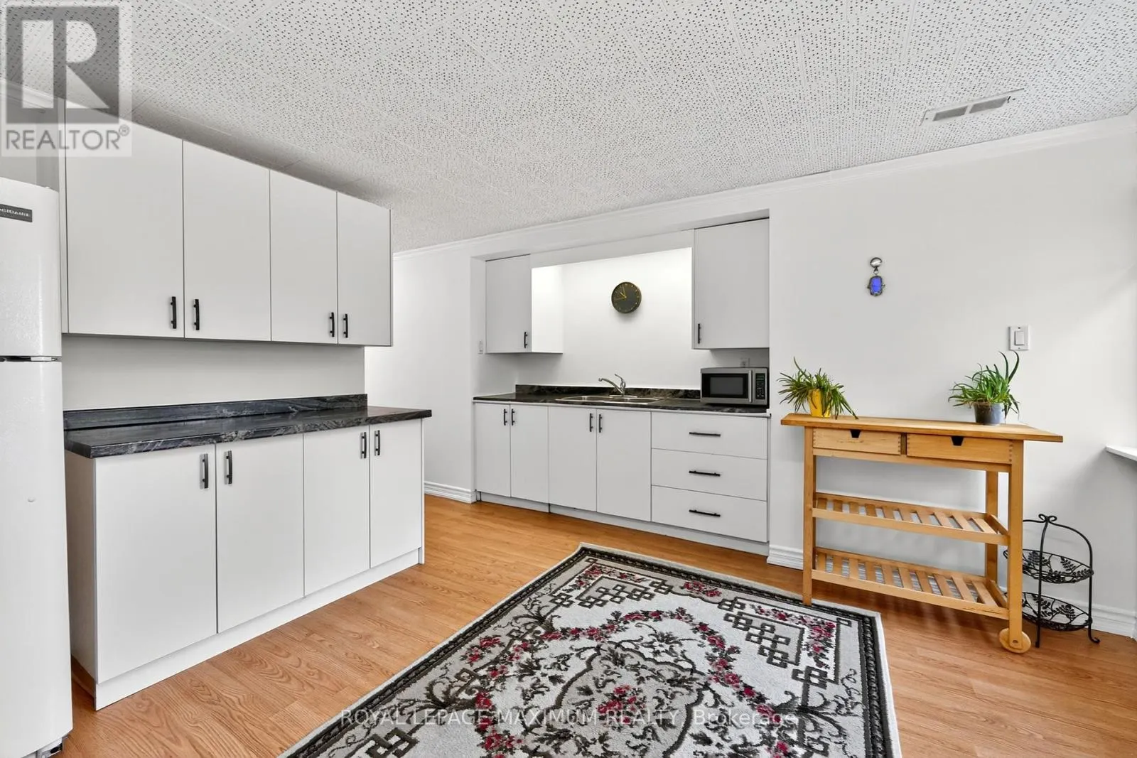 BASEMENT - 153 HIGHLAND PARK BOULEVARD