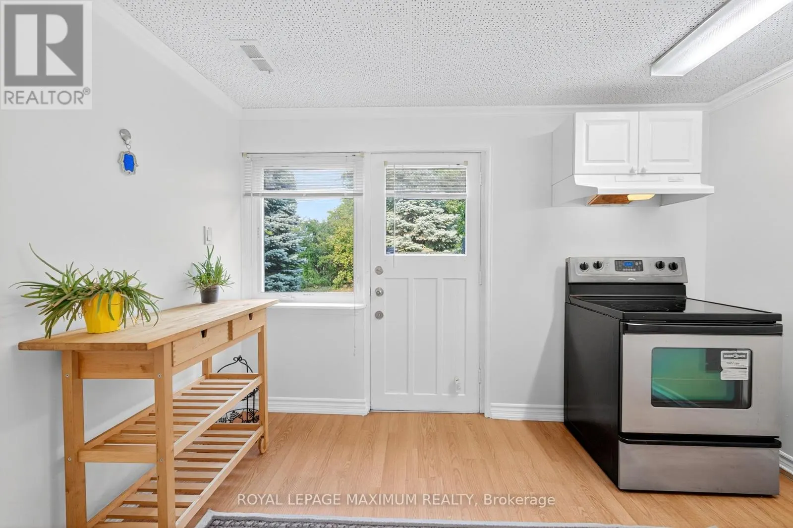 BASEMENT - 153 HIGHLAND PARK BOULEVARD