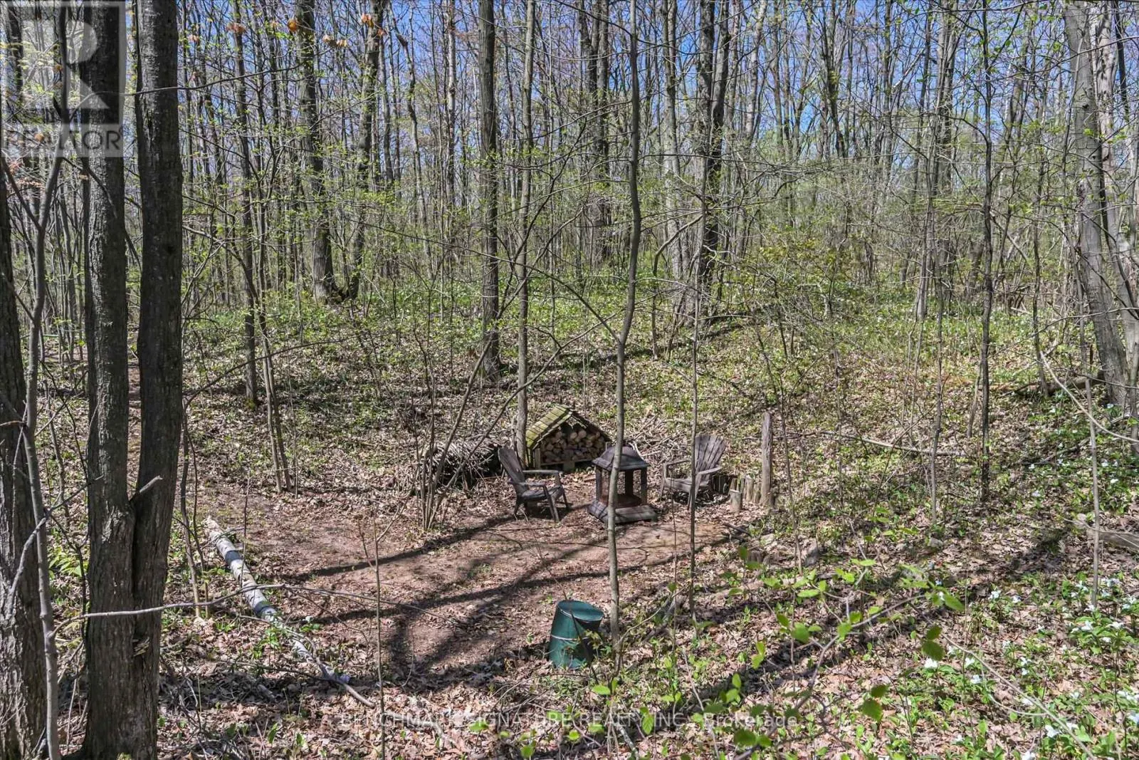115 FOG ROAD