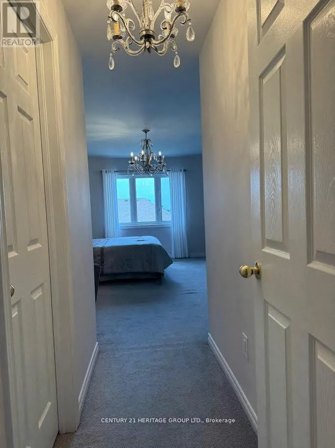 MAIN - 135 BLACK MAPLE CRESCENT