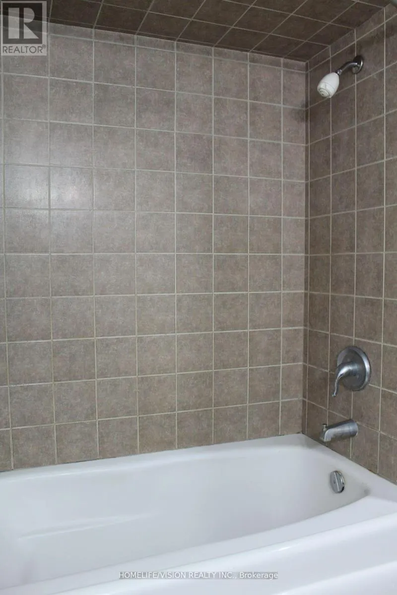 BASEMENT - 146 SHELDON AVENUE
