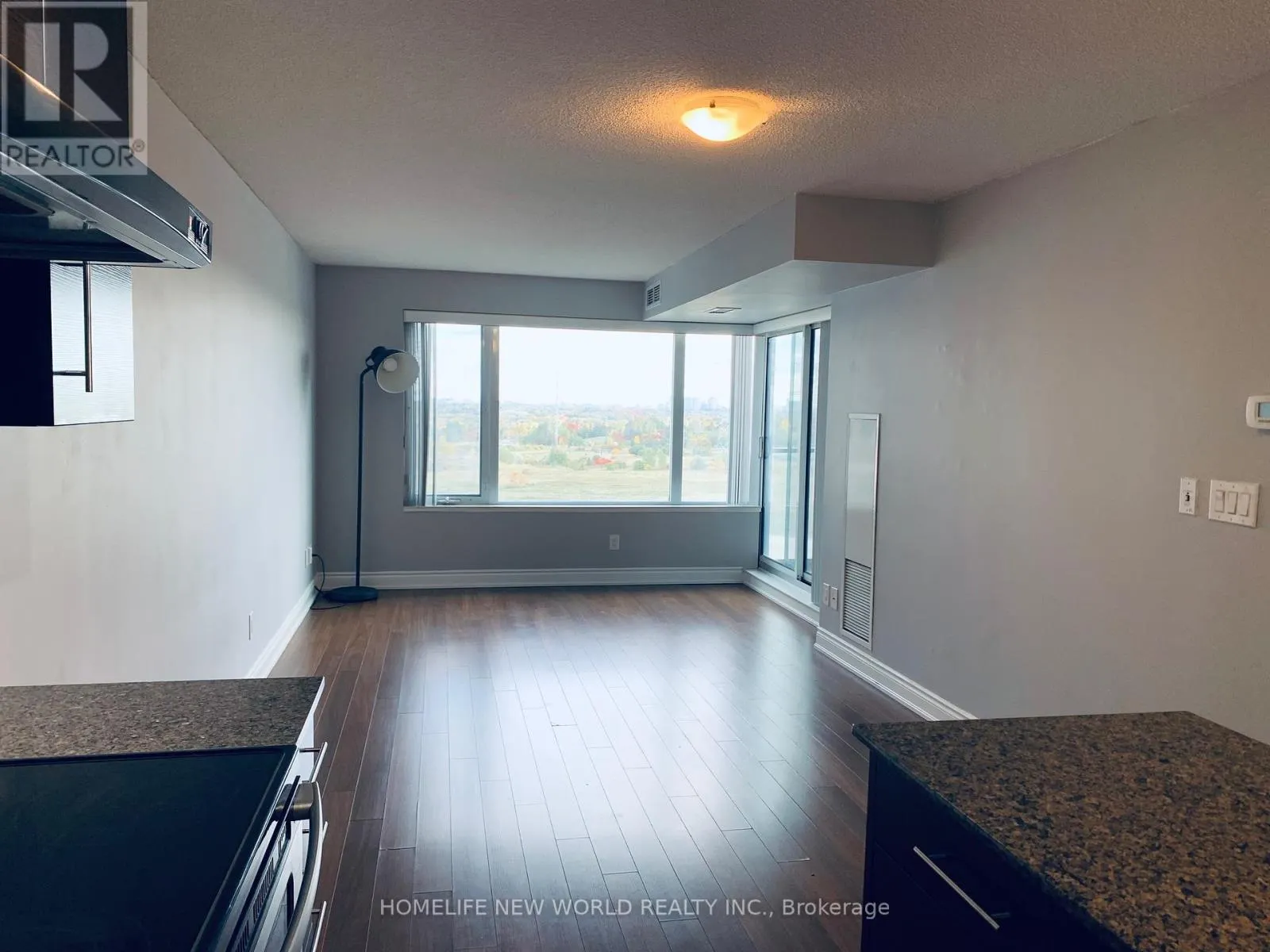 911 - 253 SOUTH PARK ROAD