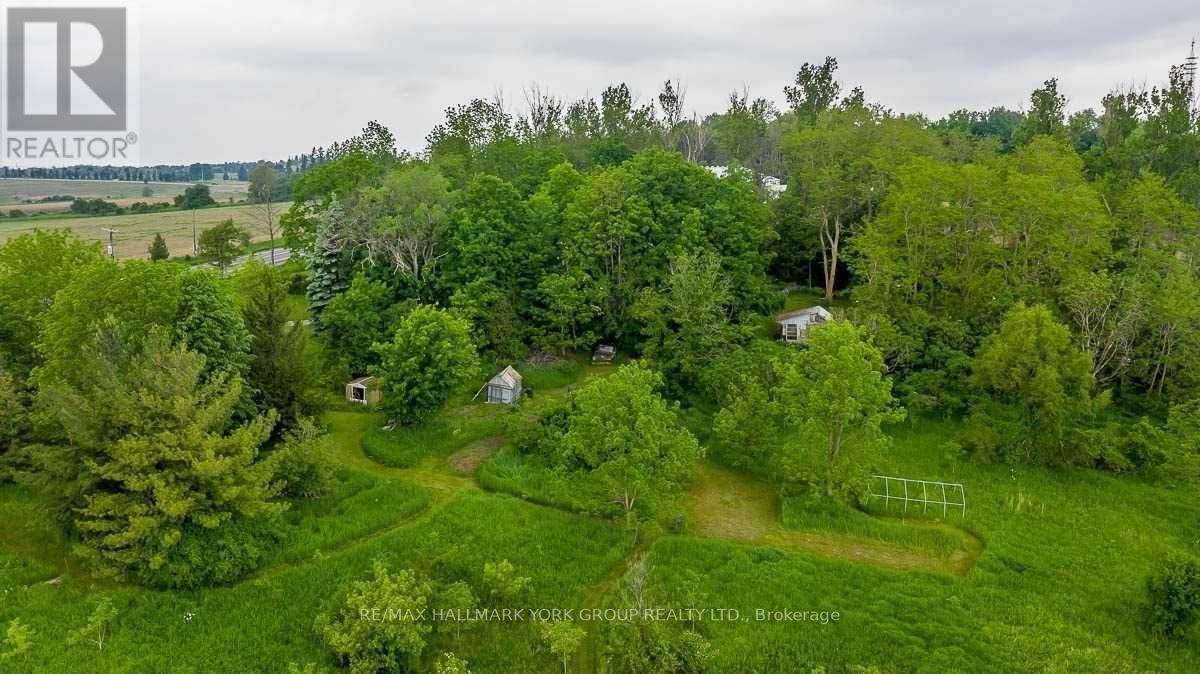 Listing N5651989 - Large Photo # 11