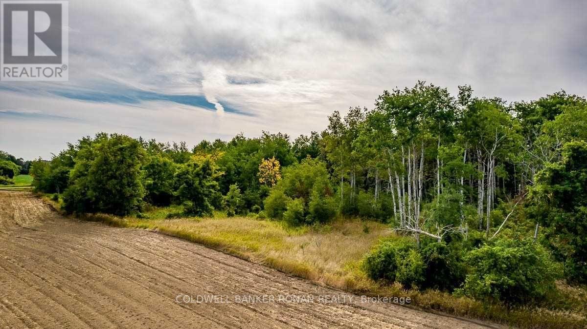 Listing N5738444 - Large Photo # 7