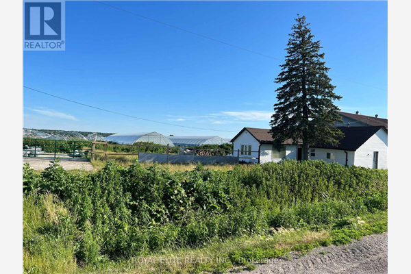 635 STRAWBERRY LANE, King