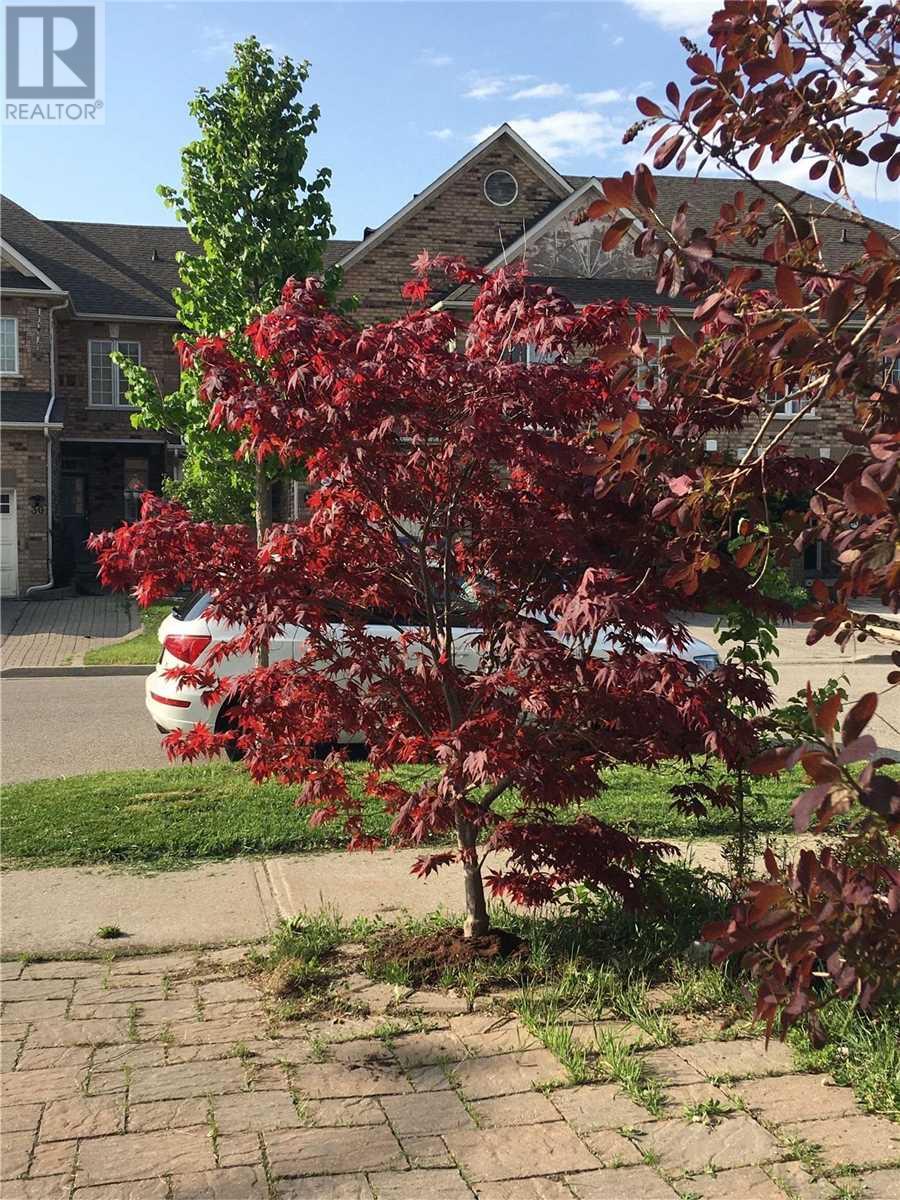 Listing N5969719 - Large Photo # 40