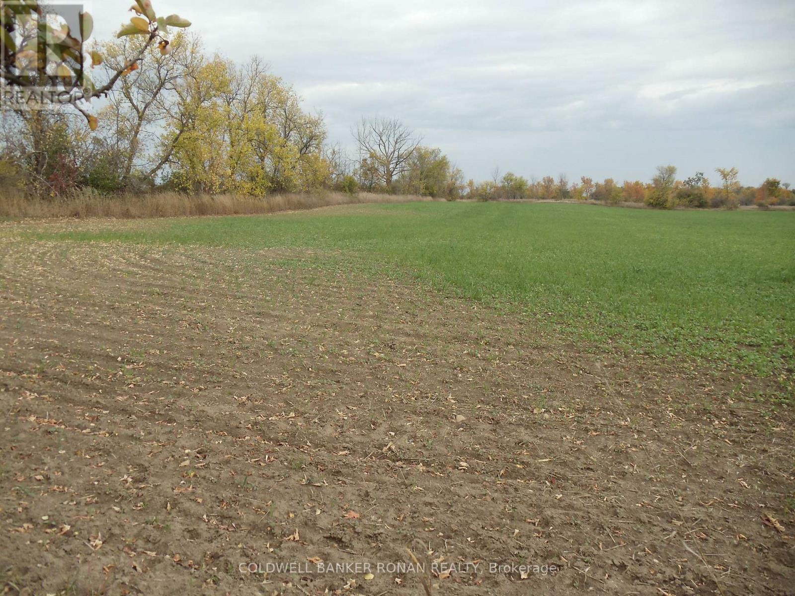 PTLT 24 CONCESSION RD 3