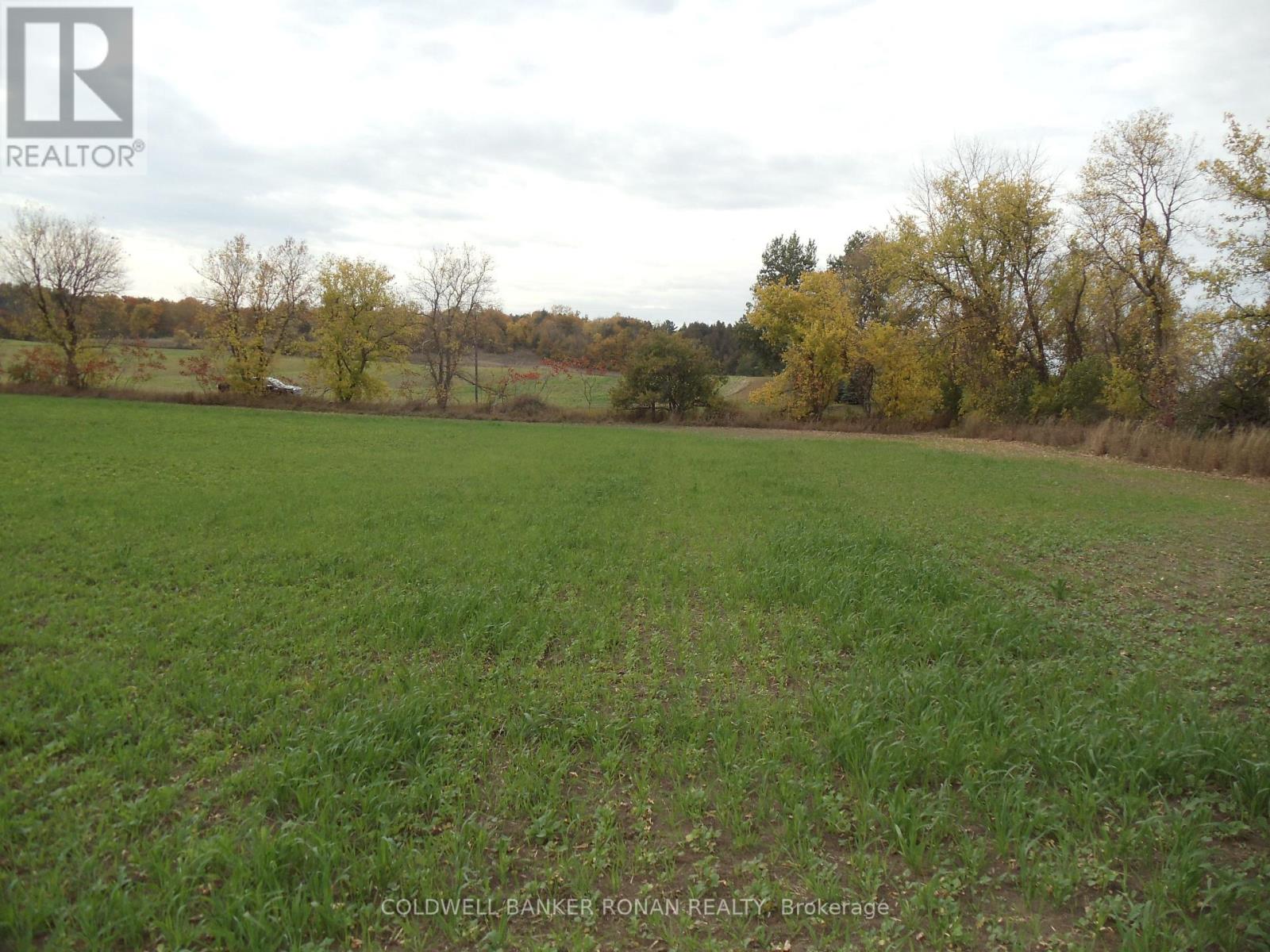 PTLT 24 CONCESSION RD 3