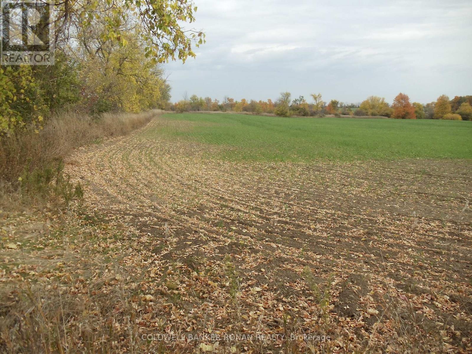 PTLT 24 CONCESSION RD 3