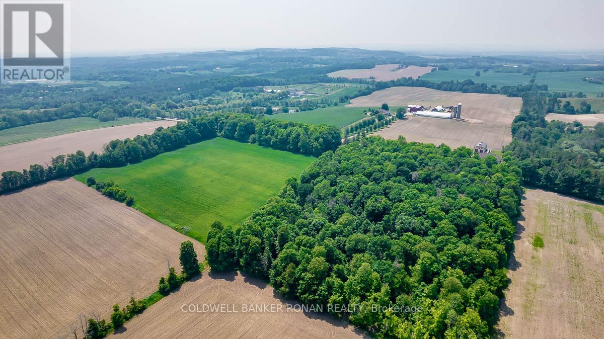 17245 12TH CONCESSION RD
