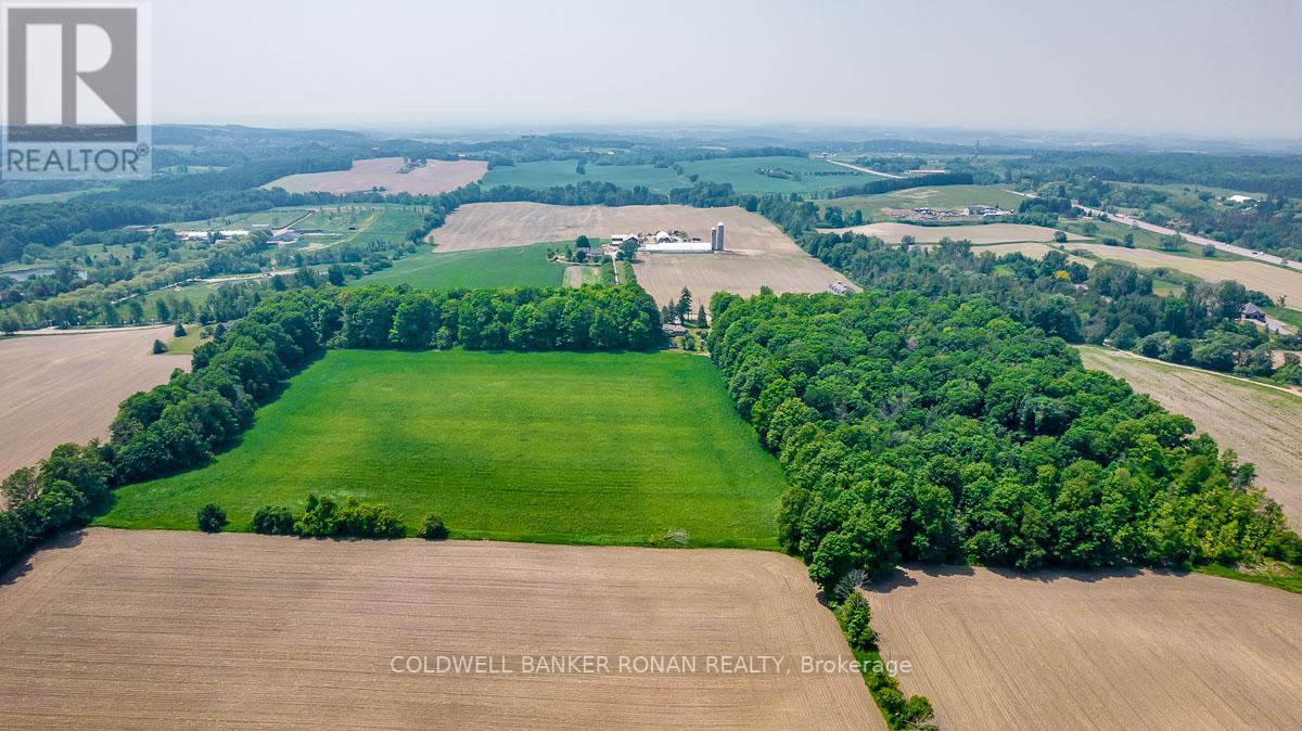 17245 12TH CONCESSION RD