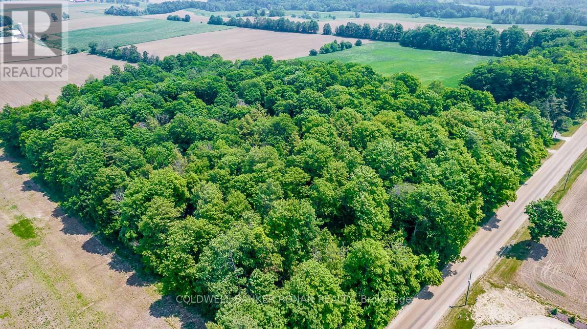 17245 12TH CONCESSION RD