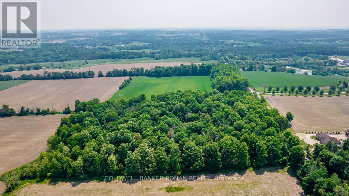 17245 12TH CONCESSION RD