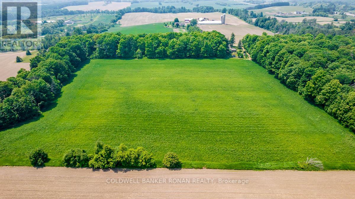 17245 12TH CONCESSION RD