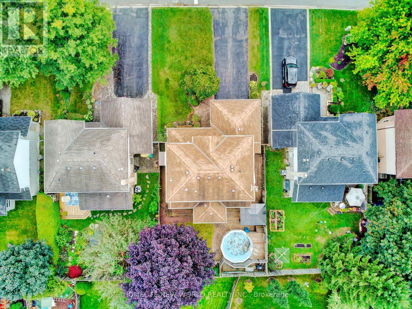 293 HAREWOOD BLVD