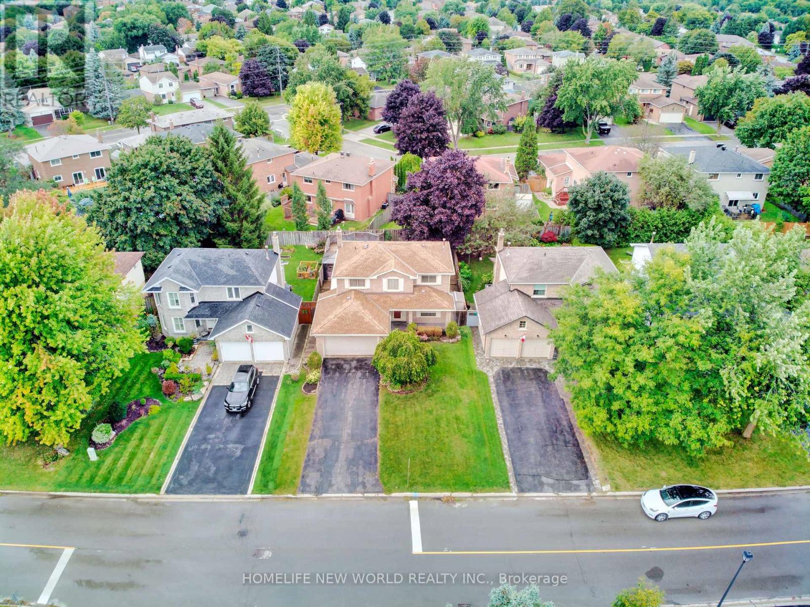 293 HAREWOOD BLVD