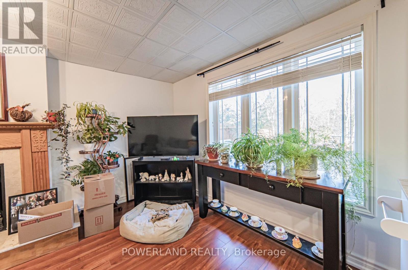 #BASEMEN -23 DEERHORN CRES, #Basemen
