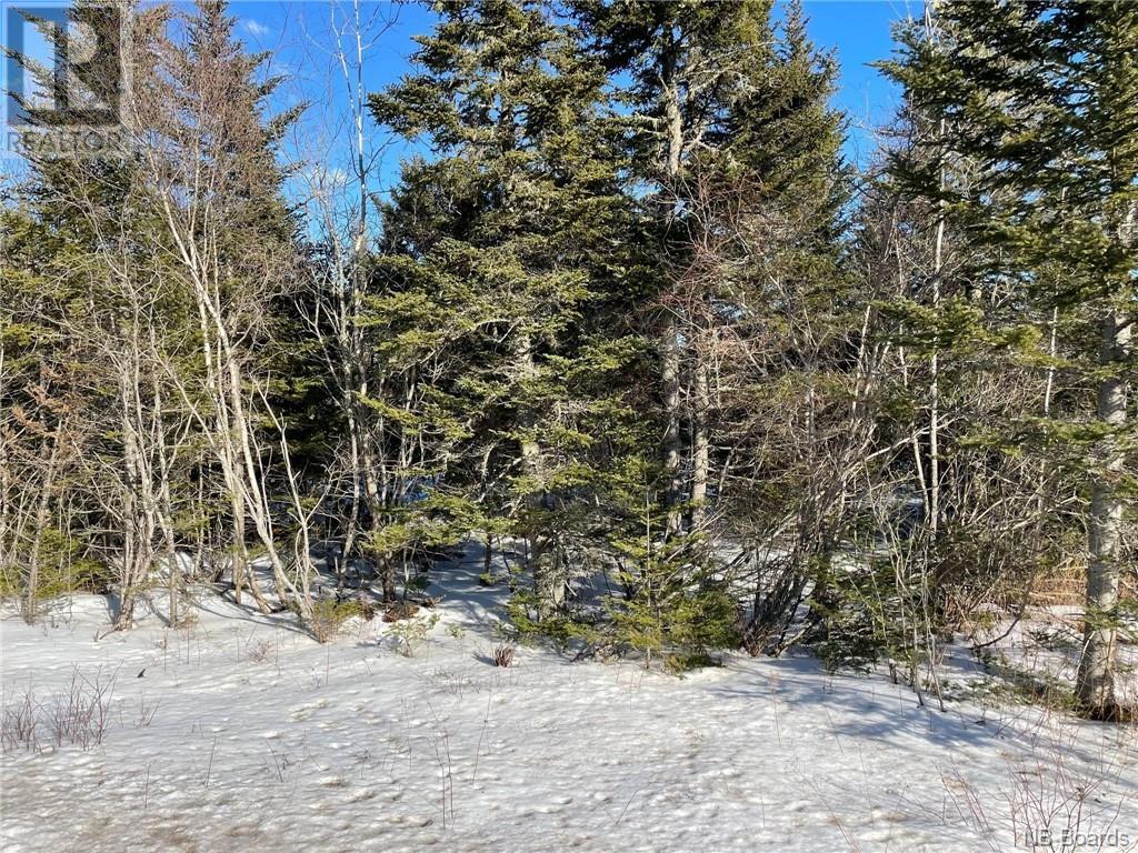 - Fundy Bay Drive