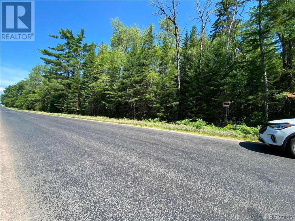 Listing NB078445 - Large Photo # 3