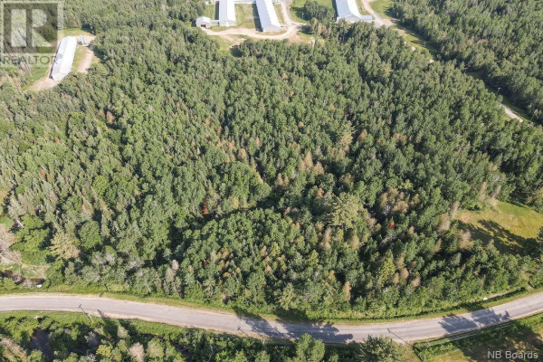 Lot 1 Sisson Settlement Road, Burtts Corner