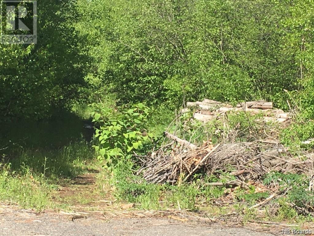 Listing NB079036 - Large Photo # 1