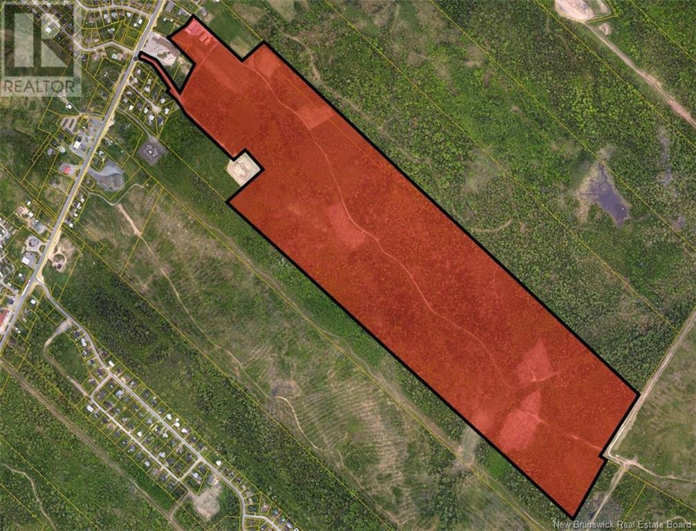 Listing NB079239 - Large Photo # 1
