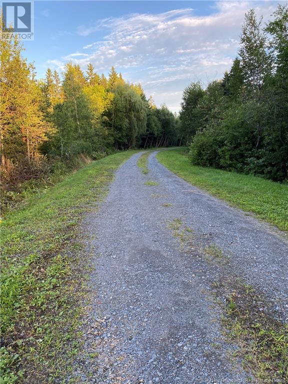 Listing NB079241 - Large Photo # 8