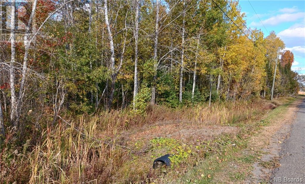 Lot 87-65 Beatty Drive