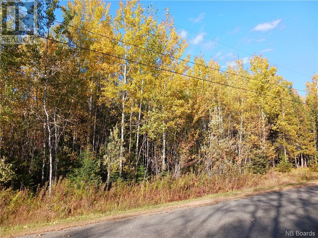 Lot 87-65 Beatty Drive
