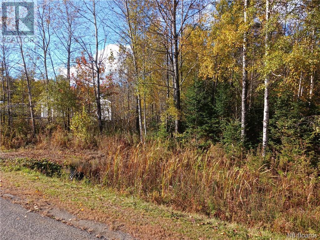 Lot 87-65 Beatty Drive