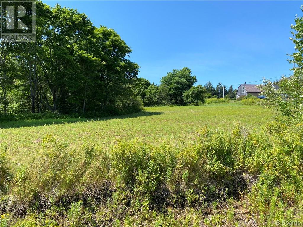 Listing NB081144 - Large Photo # 3