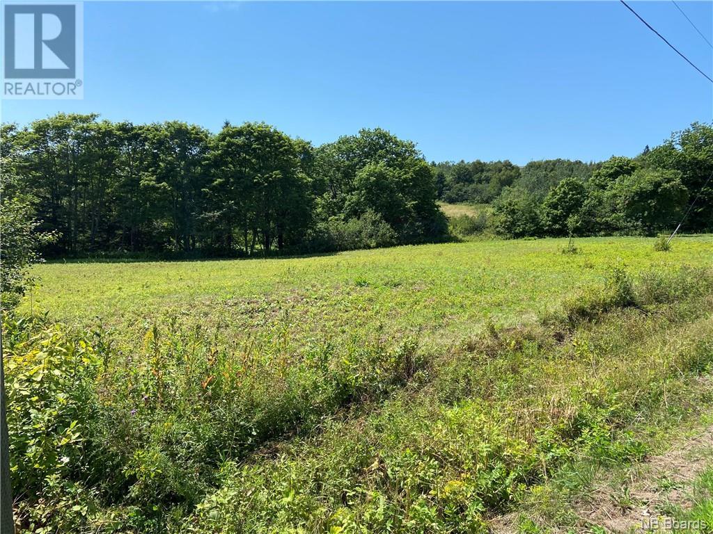 Listing NB081144 - Large Photo # 1
