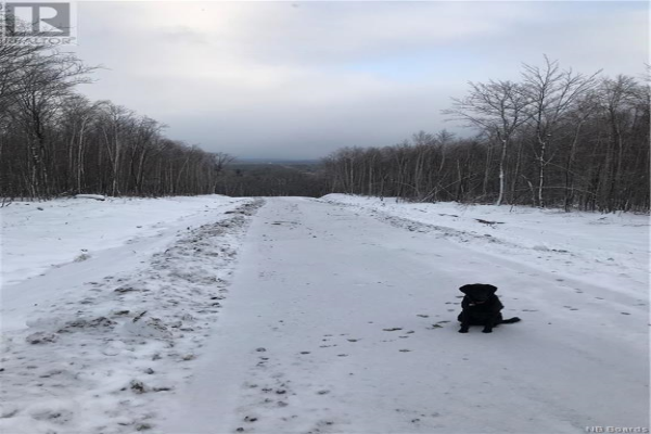 Lot 4 Raven Ridge Road, Central Hainesville
