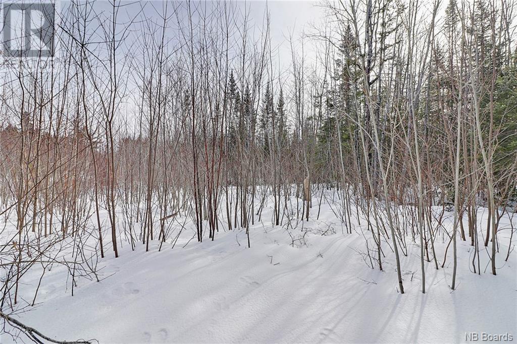 Listing NB084016 - Large Photo # 12
