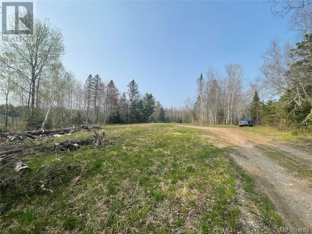 Listing NB084482 - Large Photo # 6