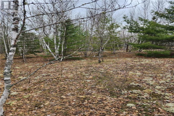Lot 5 Sunset Heights, Bear Island