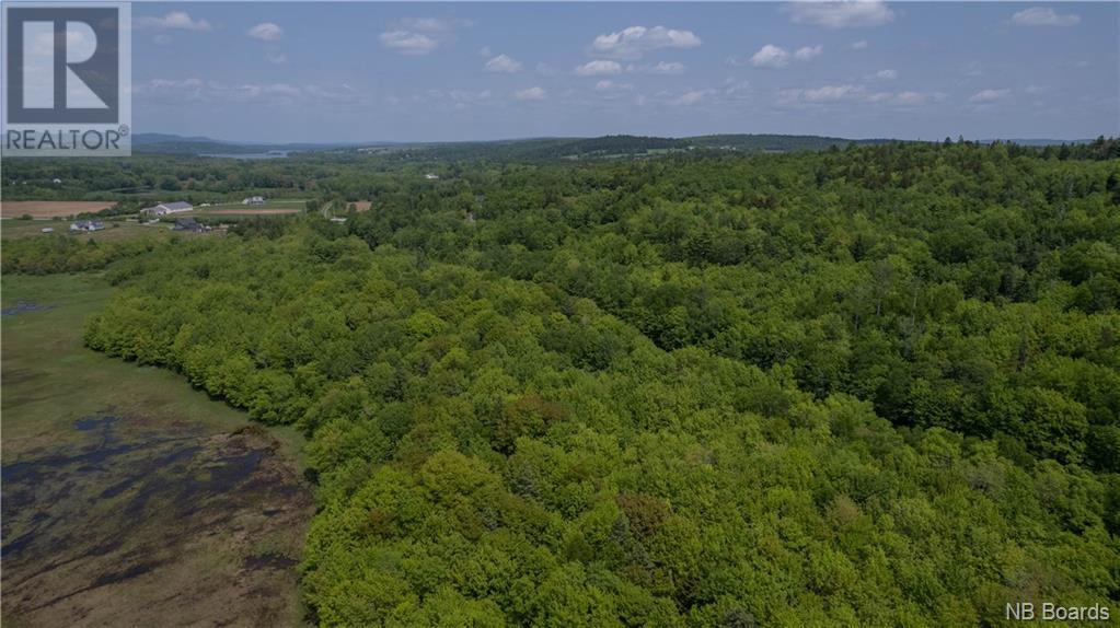 111 Hammond River Road
