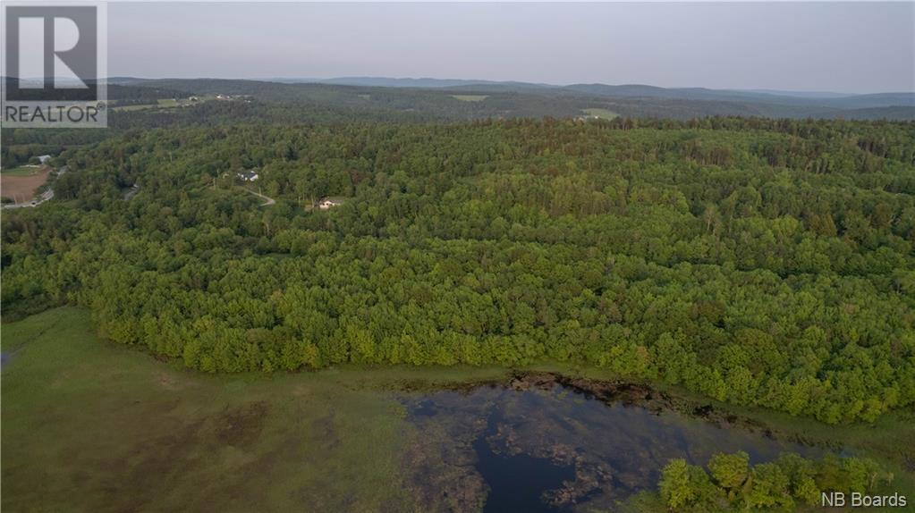 111 Hammond River Road