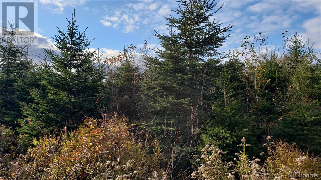 - Pleasant Lake Road