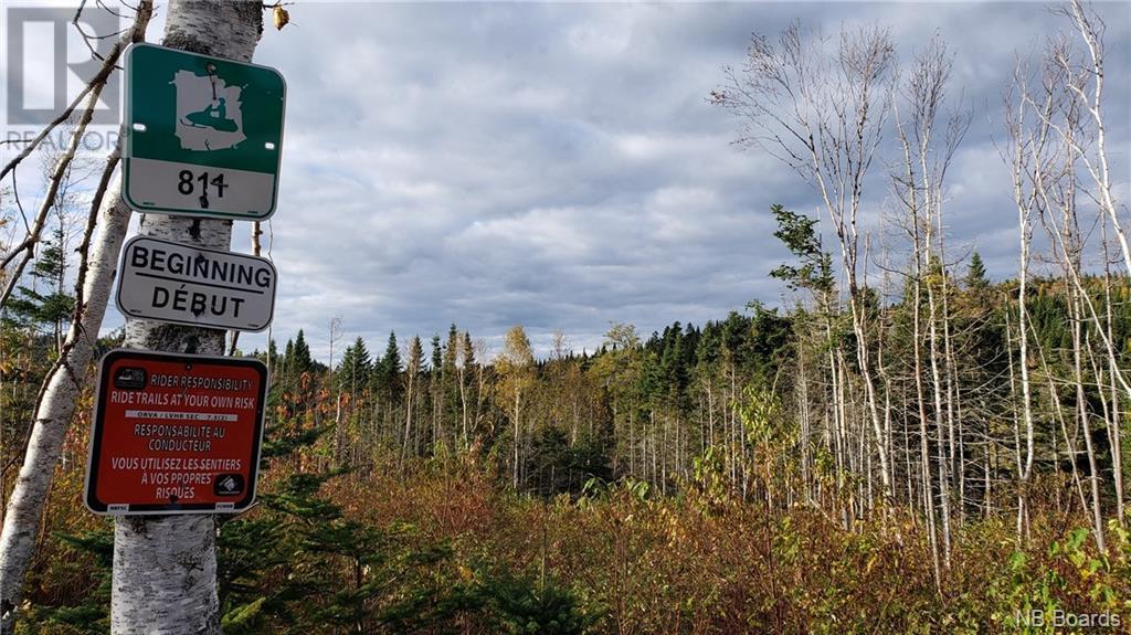 - Pleasant Lake Road