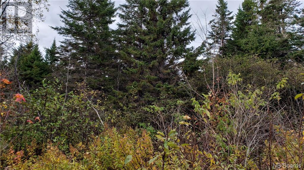 - Pleasant Lake Road