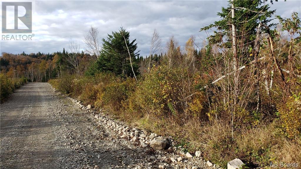 - Pleasant Lake Road