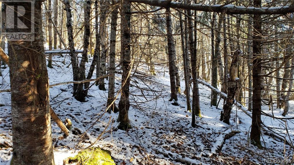 - Pleasant Lake Road