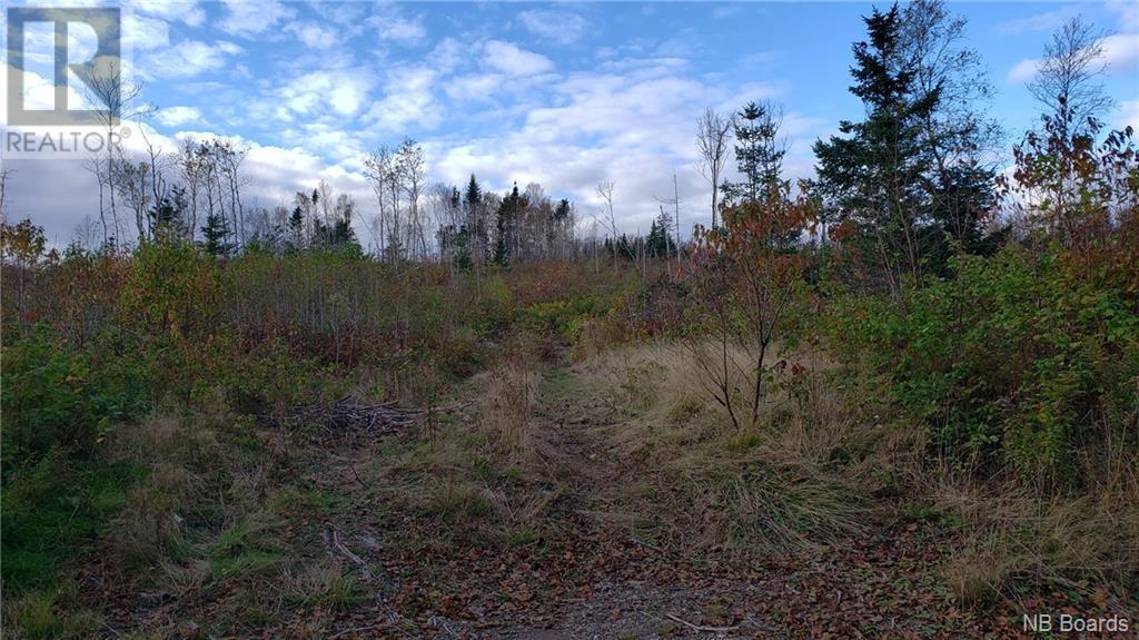 - Pleasant Lake Road